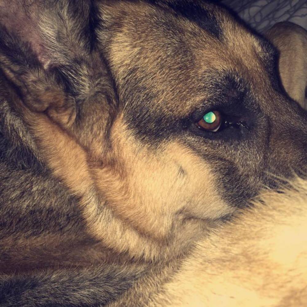 Meet your Posher, Chawnti